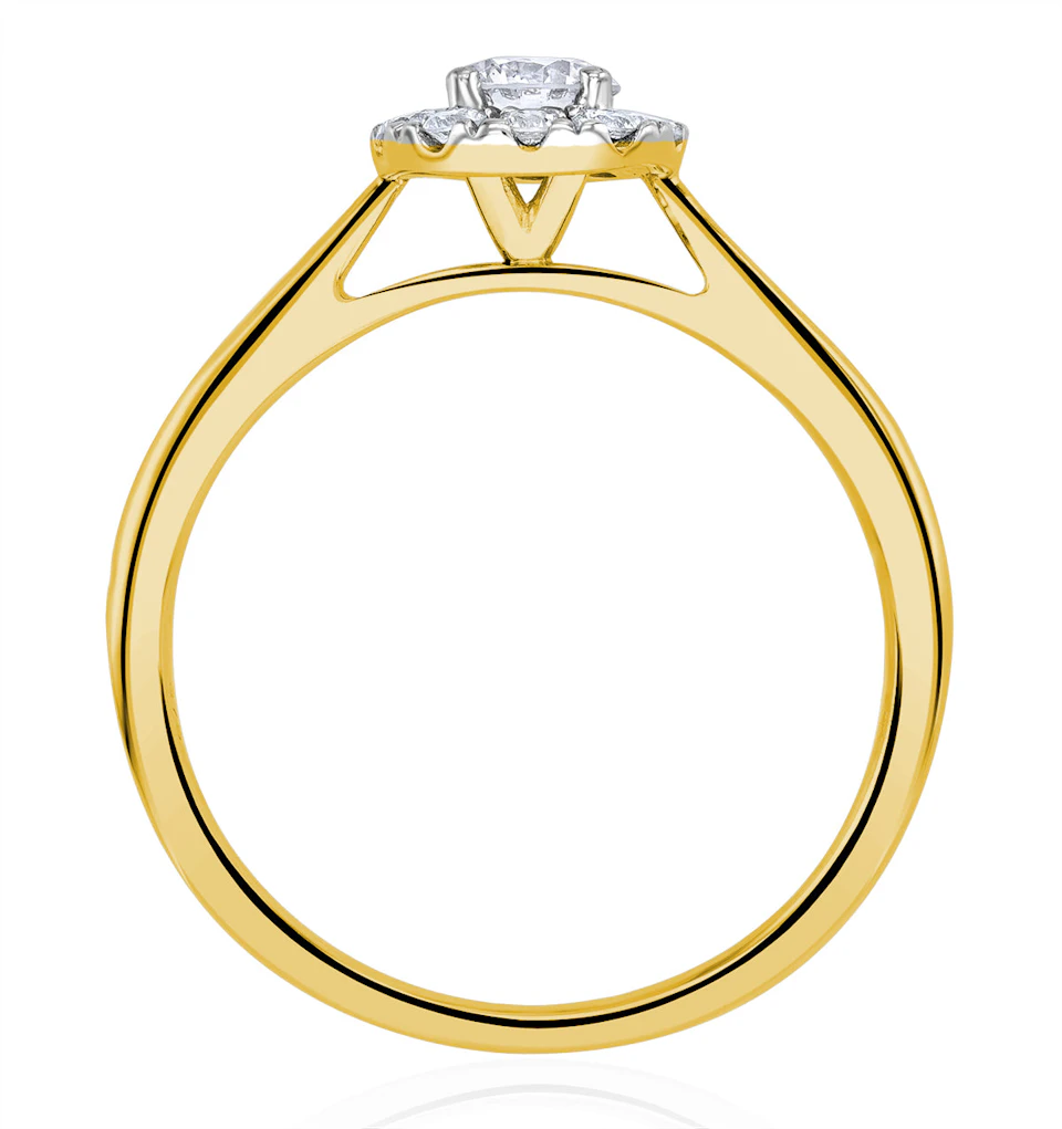 Lab Diamond Halo Engagement Ring 0.50ct H/Si in 9K Gold