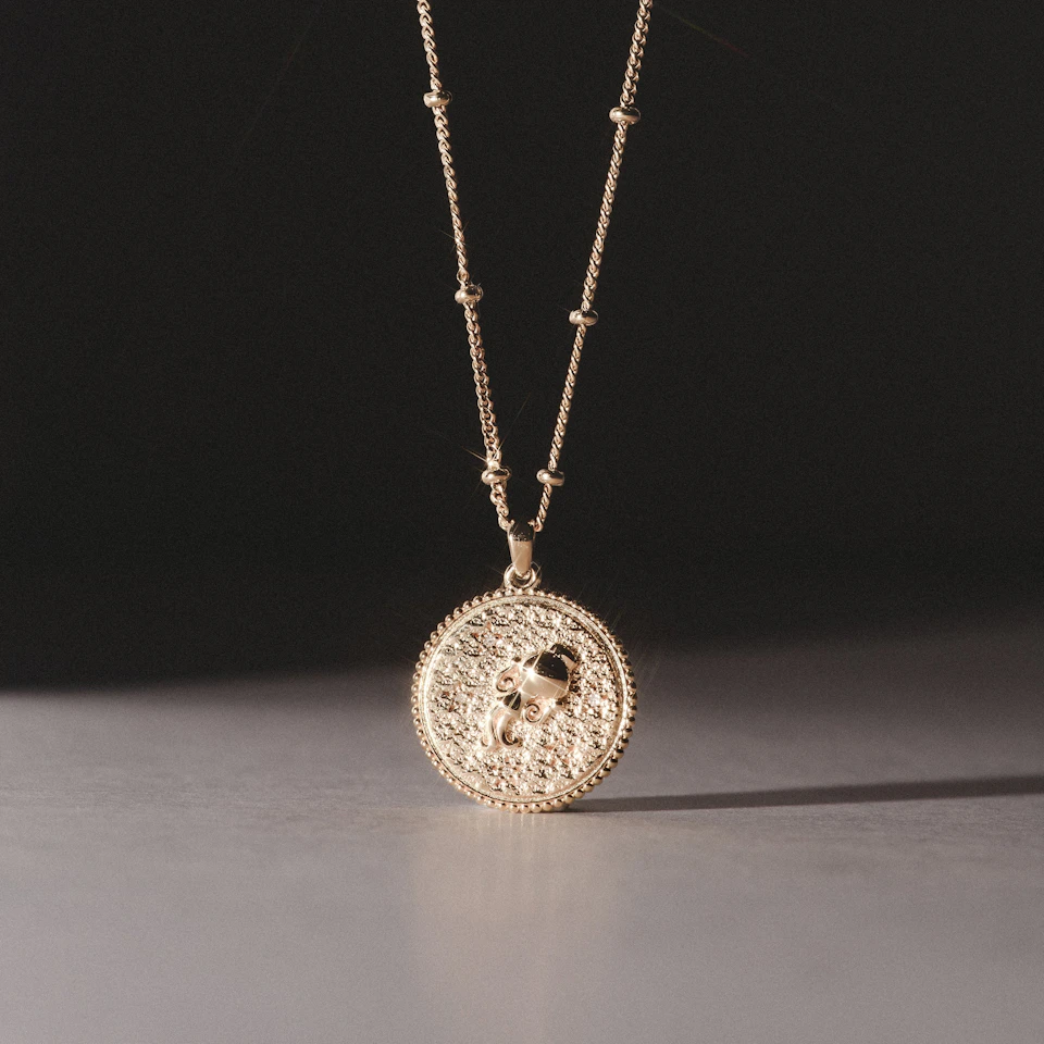 Zodiac Aquarius Necklace Medallion Lab Grown 0.02ct in 18K Gold Vermeil
