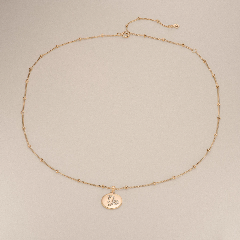 Astrology Capricorn 0.07ct Lab Grown Diamond Medallion Pendant Necklace in 18K Gold Vermeil
