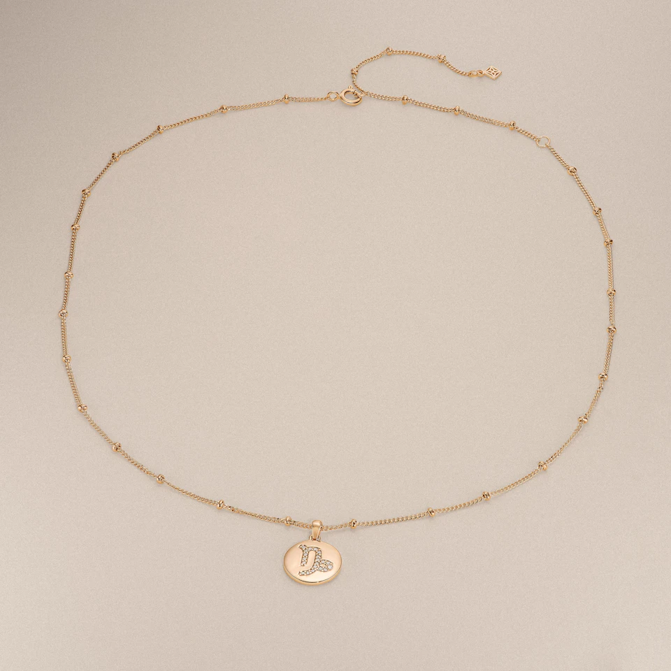 Astrology Capricorn 0.07ct Lab Grown Diamond Medallion Pendant Necklace in 18K Gold Vermeil