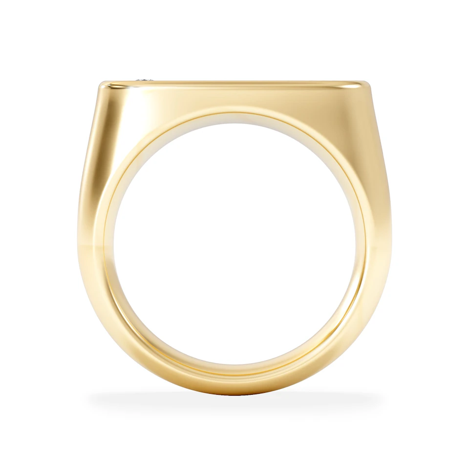Crest 0.03ct Lab Diamond Men's Oblong Signet Ring in 18K Yellow Gold Vermeil